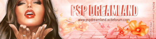 Welkom bij PSP Dreamland - portaal Banner10