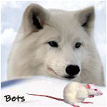 Banner plaatjes - Page 11 Image129